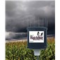 WatchDog Wireless Rain+ Temp Station