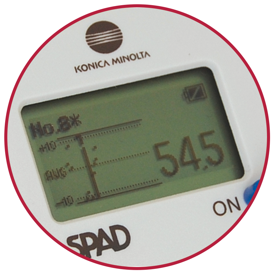 SPAD Plus Chlorophyll Meter - Data Logger (Case Included)